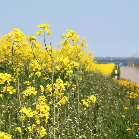Holiday home In Mit Eigener Terrasse