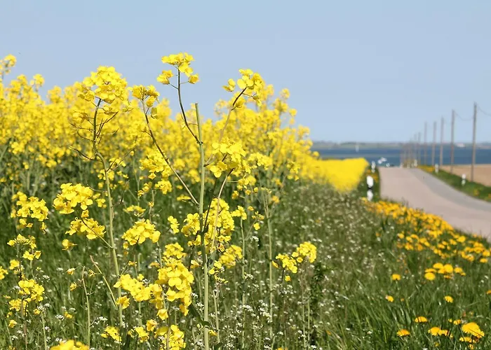 Casa de Férias In Mit Eigener Terrasse